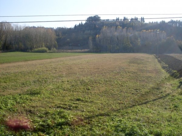 terreno agricolo in vendita a San Miniato in zona San Miniato Alto