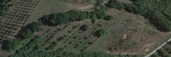 terreno agricolo in vendita a San Miniato