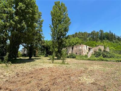 azienda agricola in vendita a San Miniato in zona Corazzano