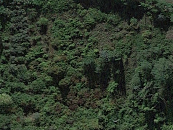 terreno agricolo in vendita a San Miniato