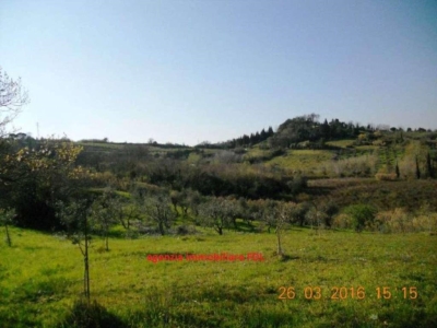 terreno edificabile in vendita a San Miniato