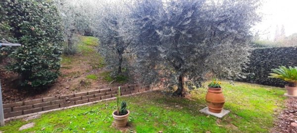 casa indipendente in vendita a San Miniato in zona Ponte a Egola