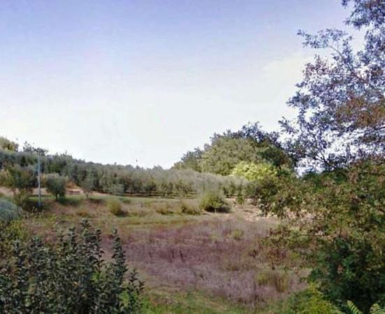 terreno edificabile in vendita a San Miniato in zona Ponte a Egola