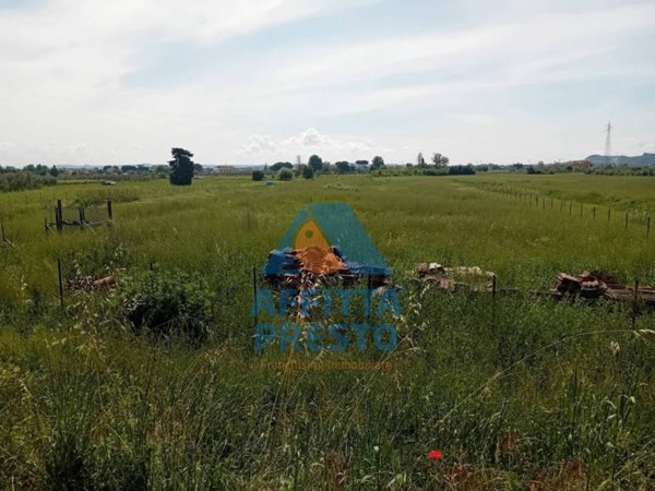 terreno agricolo in vendita a San Miniato