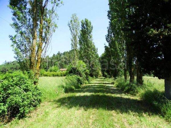 locale di sgombero in vendita a San Miniato in zona Corazzano
