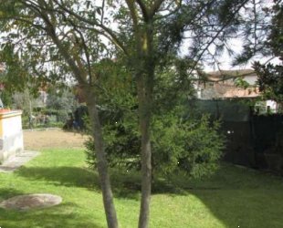 terreno agricolo in vendita a San Miniato