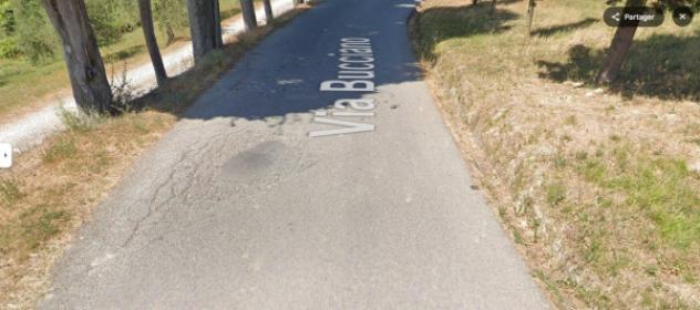 terreno agricolo in vendita a San Miniato