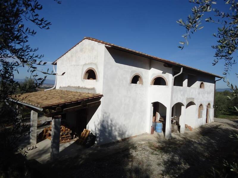 azienda agricola in vendita a San Miniato