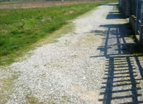 negozio in vendita a San Miniato in zona Ponte a Egola