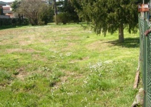 negozio in vendita a San Miniato in zona Ponte a Egola