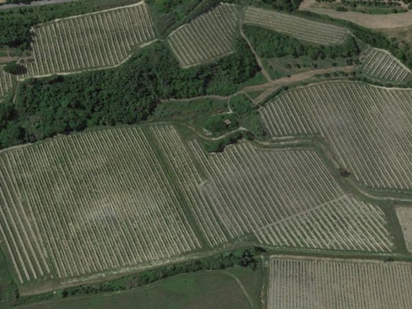terreno agricolo in vendita a San Miniato in zona La Scala