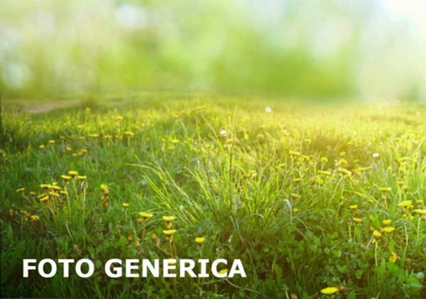 terreno agricolo in vendita a San Miniato