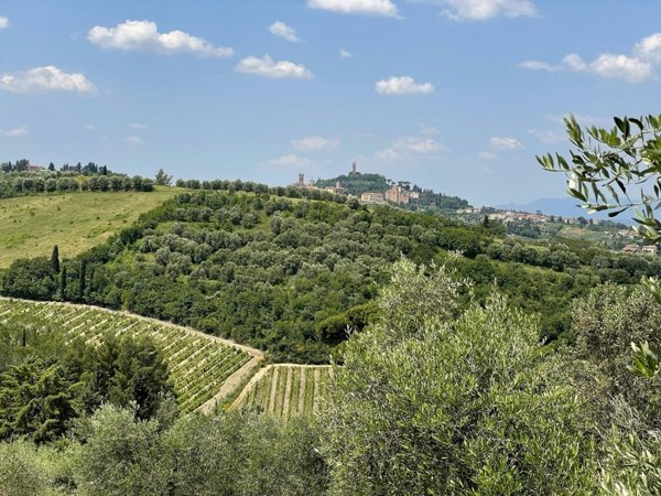 negozio in vendita a San Miniato