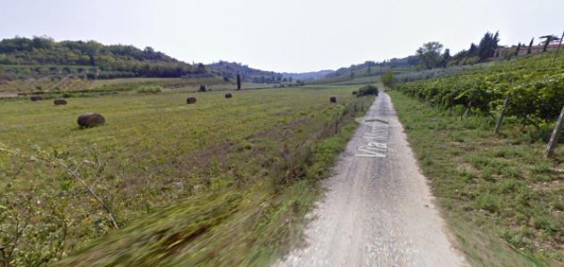 terreno agricolo in vendita a San Miniato