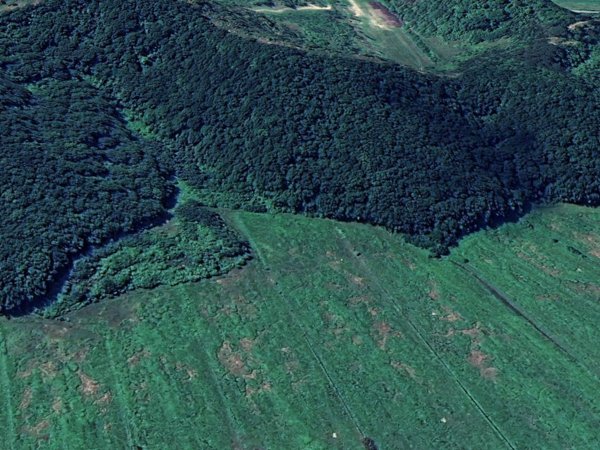 terreno agricolo in vendita a San Miniato