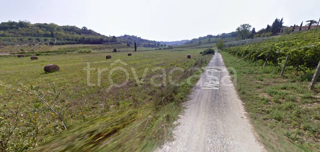 terreno agricolo in vendita a San Miniato