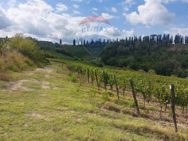 terreno agricolo in vendita a San Miniato in zona La Scala