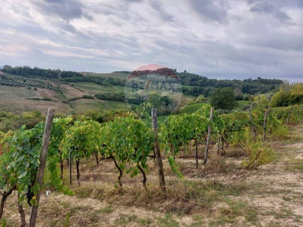 terreno agricolo in vendita a San Miniato in zona La Scala