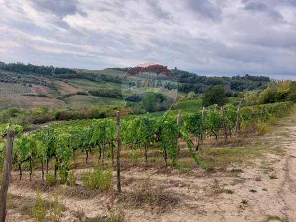 terreno agricolo in vendita a San Miniato
