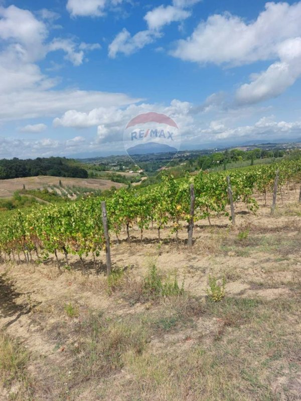 terreno agricolo in vendita a San Miniato in zona Ponte a Elsa