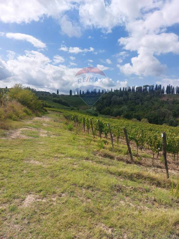 terreno agricolo in vendita a San Miniato in zona Ponte a Elsa