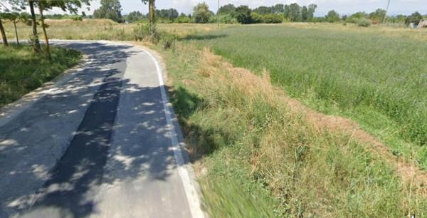 terreno agricolo in vendita a San Miniato