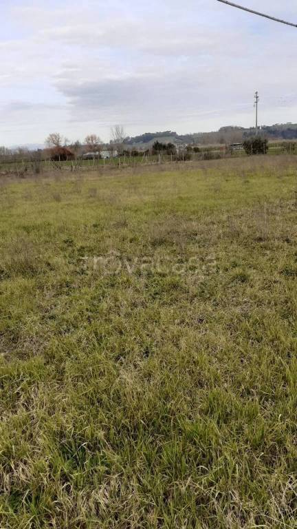 terreno edificabile in vendita a San Miniato