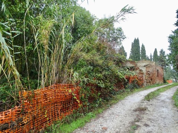 casa indipendente in vendita a San Miniato