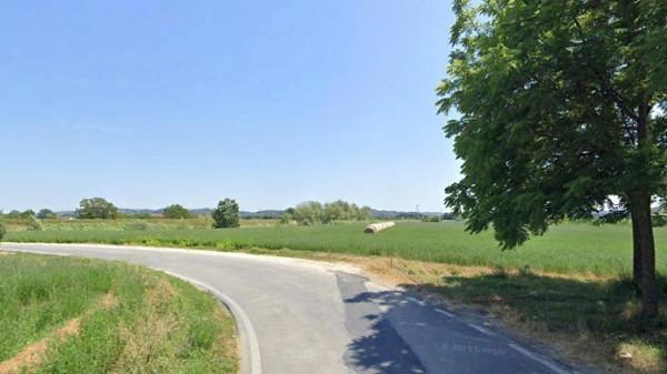 terreno agricolo in vendita a San Miniato