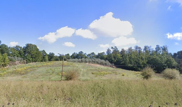 terreno agricolo in vendita a San Miniato