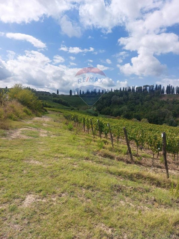 terreno agricolo in vendita a San Miniato in zona Ponte a Elsa
