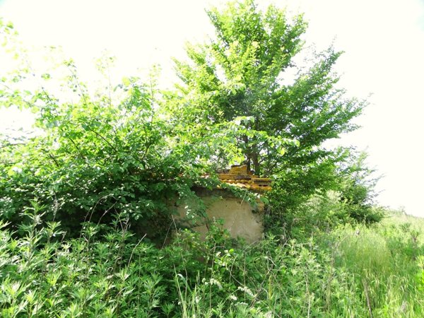 terreno agricolo in vendita a San Miniato