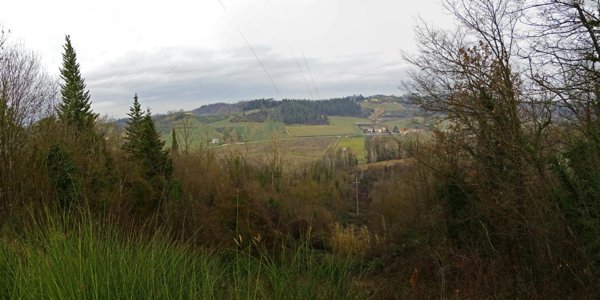 terreno agricolo in vendita a San Miniato