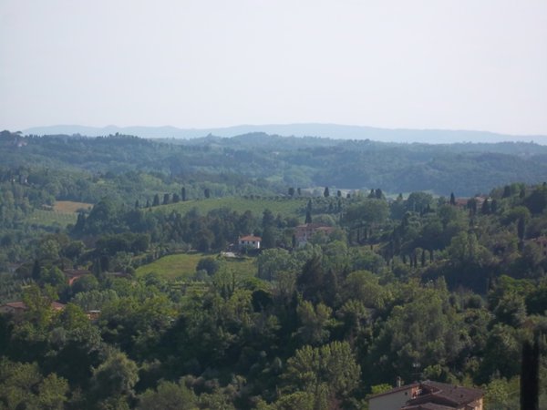 terreno agricolo in vendita a San Miniato