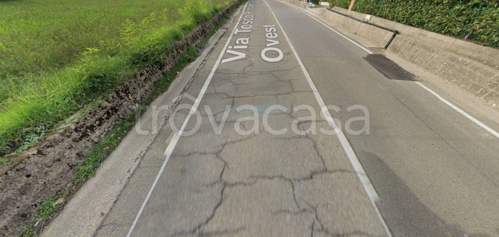 terreno agricolo in vendita a San Miniato in zona La Serra