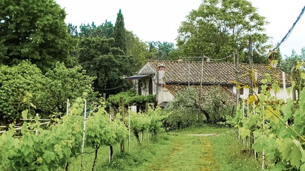 casa indipendente in vendita a San Miniato