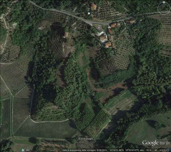 terreno agricolo in vendita a San Miniato