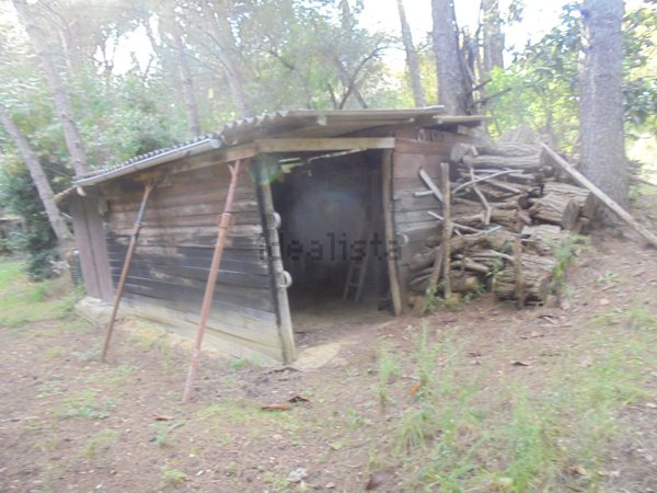 terreno agricolo in vendita a San Miniato in zona San Miniato Basso