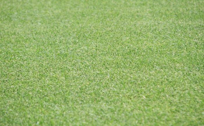 terreno edificabile in vendita a San Miniato in zona La Scala