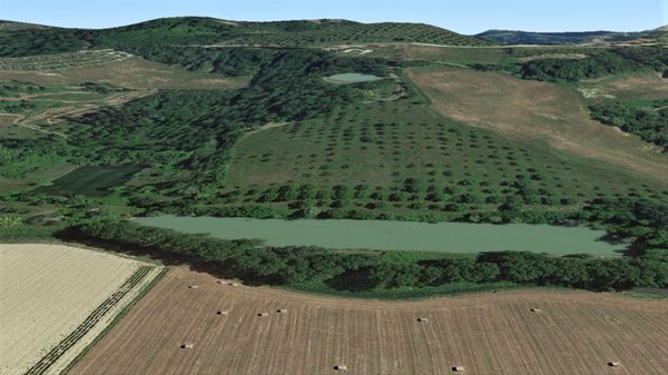 terreno agricolo in vendita a San Miniato