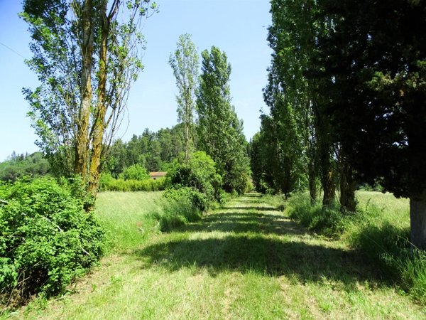 azienda agricola in vendita a San Miniato