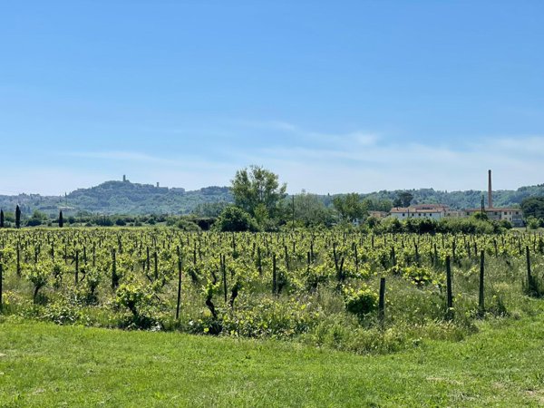 casa indipendente in vendita a San Miniato in zona Roffia