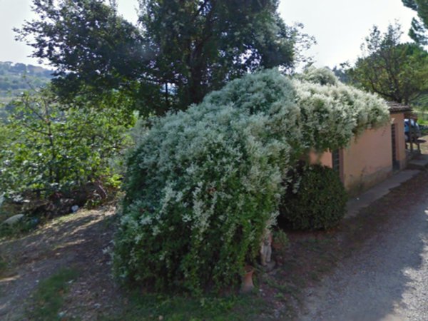 appartamento in vendita a San Miniato in zona La Scala