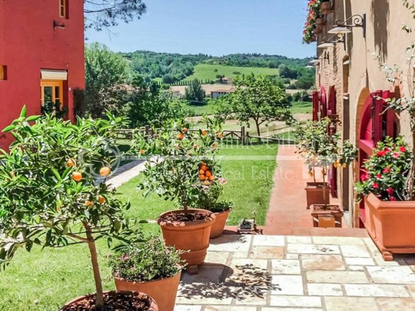 azienda agricola in vendita a San Miniato in zona Cigoli