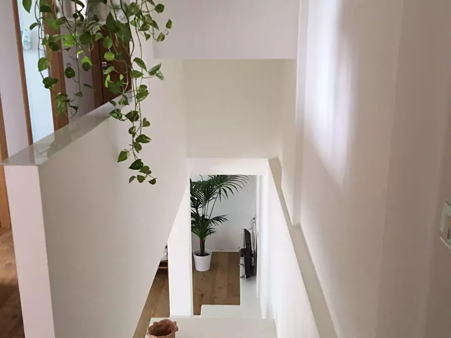 casa indipendente in vendita a San Miniato in zona Cigoli