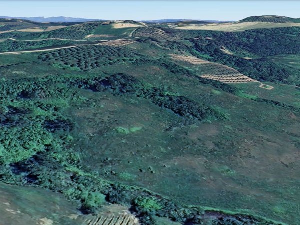 terreno agricolo in vendita a San Miniato