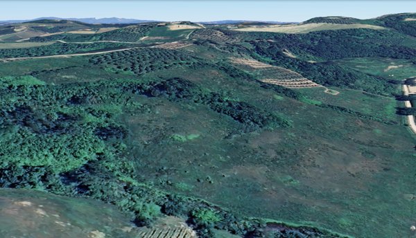 terreno agricolo in vendita a San Miniato
