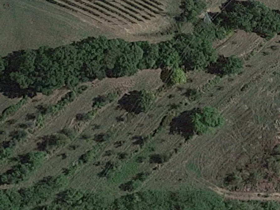 terreno agricolo in vendita a San Miniato