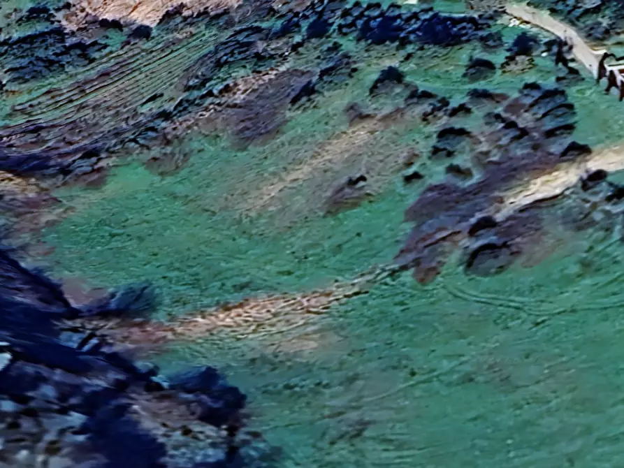 terreno agricolo in vendita a San Miniato