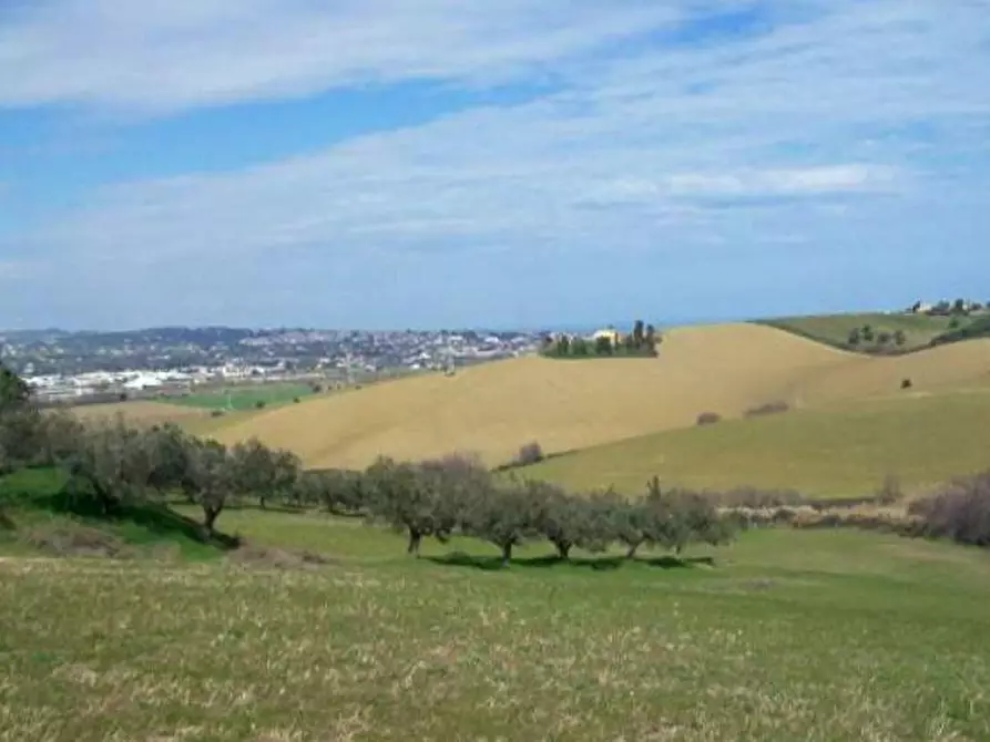 terreno agricolo in vendita a San Miniato